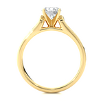 Load image into Gallery viewer, 1.29 CTW Round Lab-Grown Diamond Engagement Ring with Two-Row Pave Set E-F / VVS-VS
